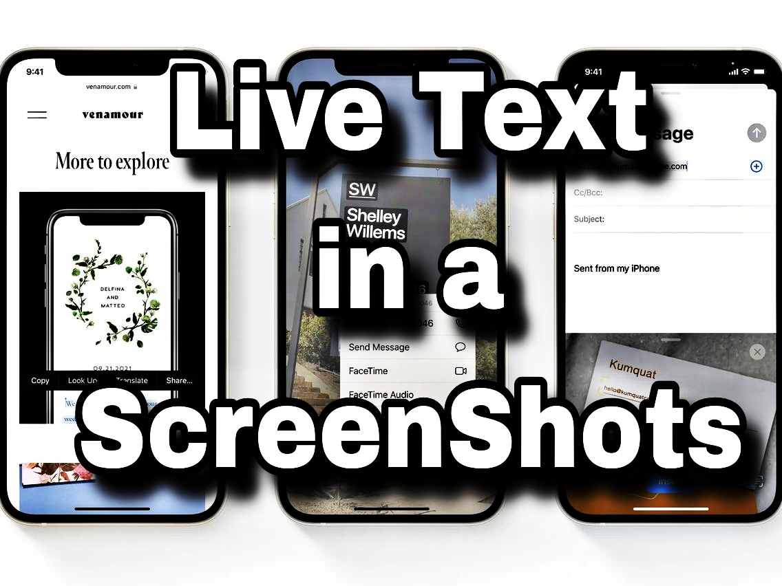 Live text in a screenshot
