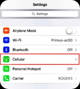 On the next screen, tap Cellular