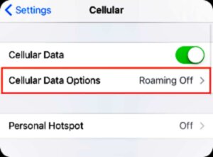 Tap Cellular Data Options